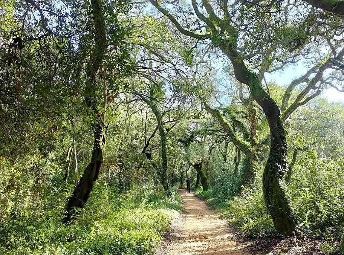 شقة Flat 23 بومبارال